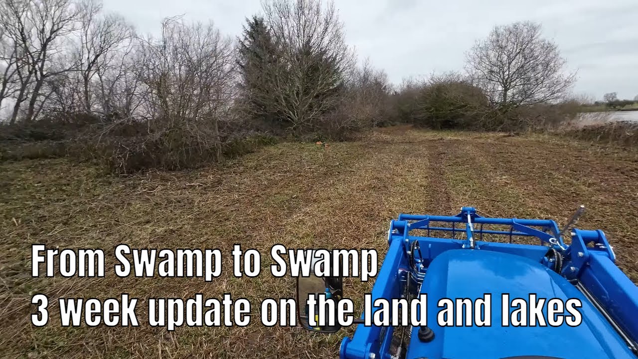 From Swamp to Swamp: 3-Week Land Lack of Transformation
