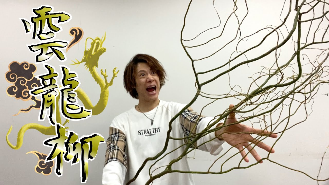 龍のような植物「雲龍柳」㊙︎テクニックで２作品生けていく！！【生け花】