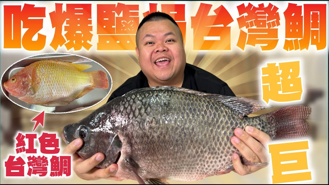 【大蛇丸】吃爆鹽烤台灣鯛越大越好吃！好舒服～