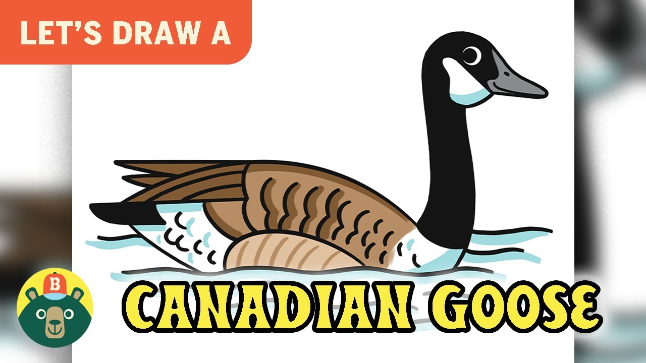 How to Draw a CANADIAN GOOSE! - [Episode 135]