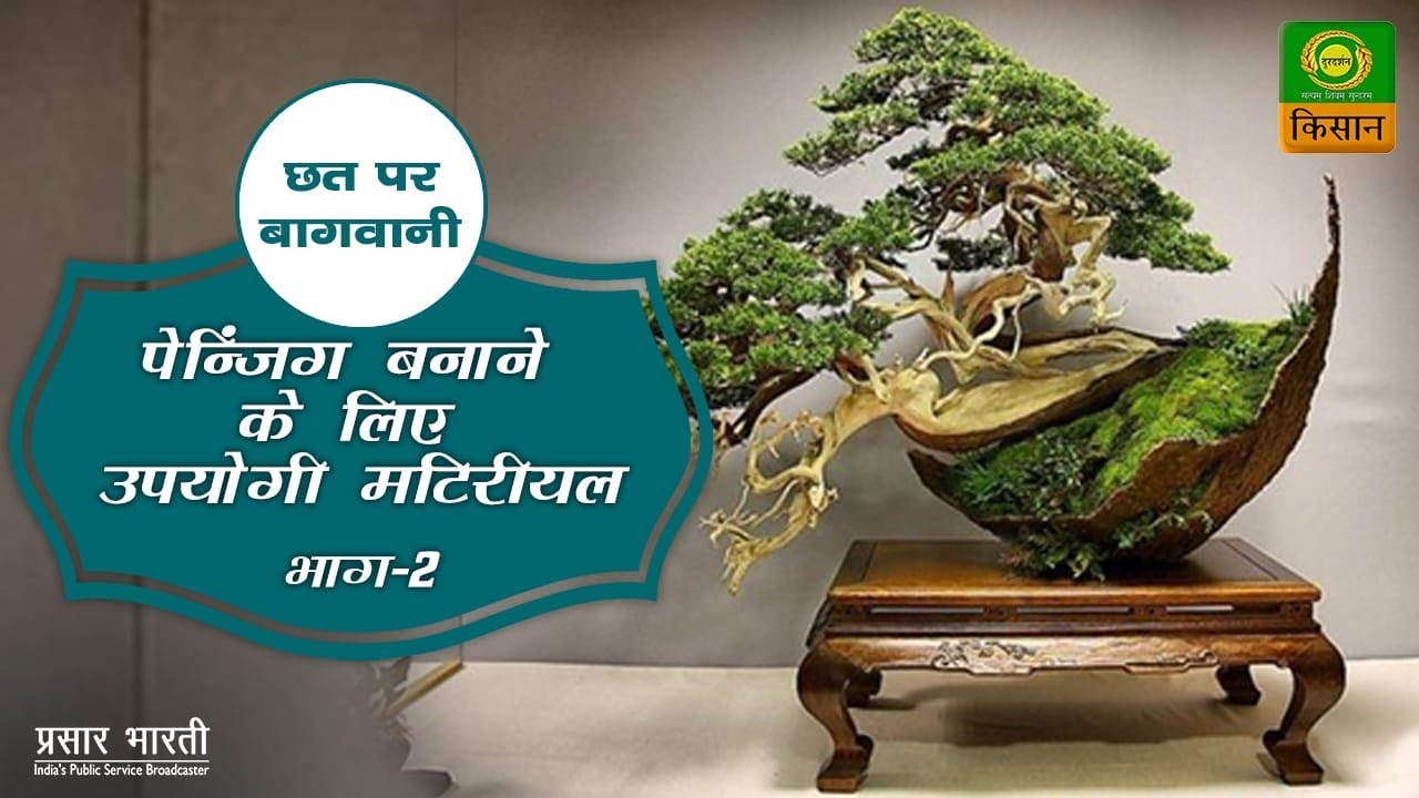 Chatt Par Baghwani :Material to be used while making Penjing Part- 02 | छत पर बागवानी