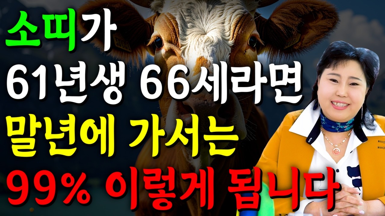 ✨2026년 1961년생 66세 소띠운세✨올해부터 내 인생이 달라진다! 평생 놀고 먹을 금전 들어오고 문서,귀인까지 대박나는 1961년생 66세 소띠의 운명과 병오년 운세!