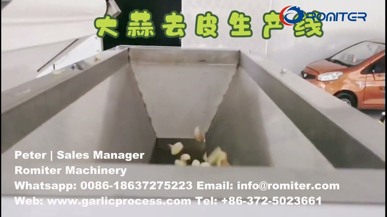Automatic Peeled Garlic Clove Production Line with Color Sorting