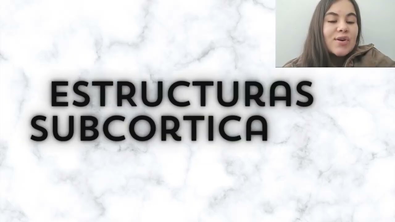 AREAS CORTICALES Y SUBCORTICALES DEL CEREBRO (NEUROANATOMIA)