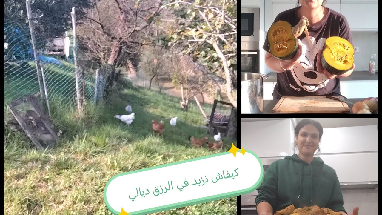 روتيني اليومي مع الدجاج🐓 في الطبيعه الايطاليه🇮🇹 درس معكم كسكسو بالقرعه ديال الجريدة