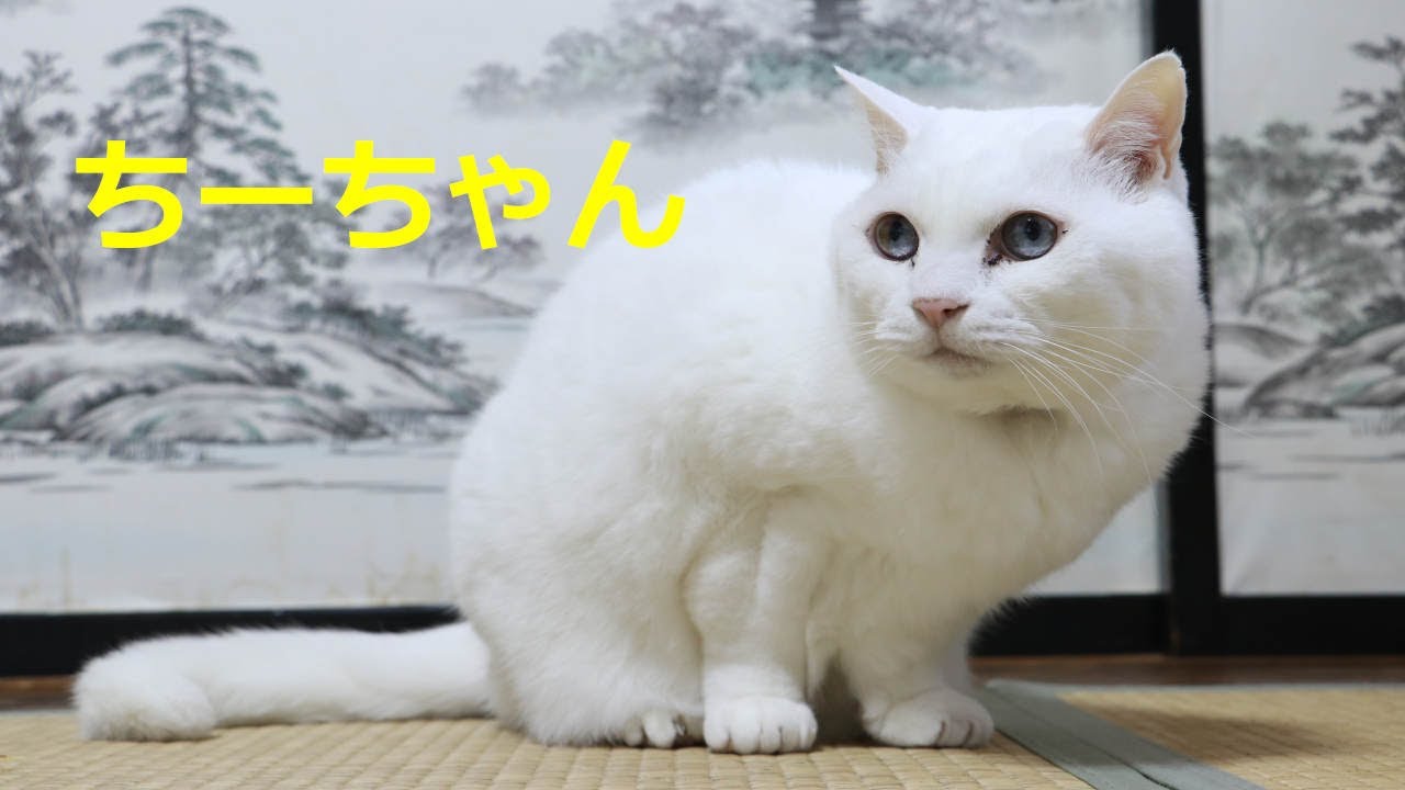 ちーちゃん　220202
