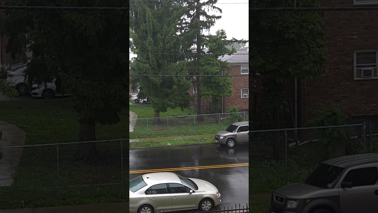 Rain Fall Relaxing #relaxing #light #rain #fall #whitenoise #sleep #drops #fyp #subscribe #shorts