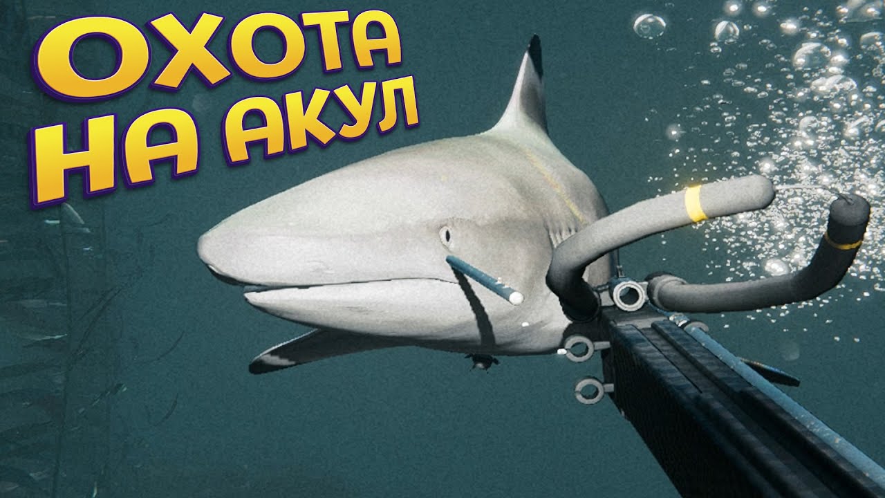 ОХОТА НА АКУЛ