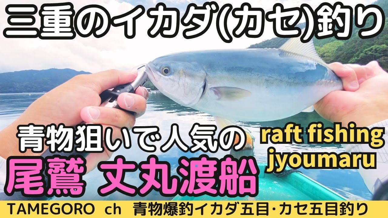 三重の筏釣り(丈丸渡船)青物爆釣イカダ五目だ！raft fishing jyoumarutosen