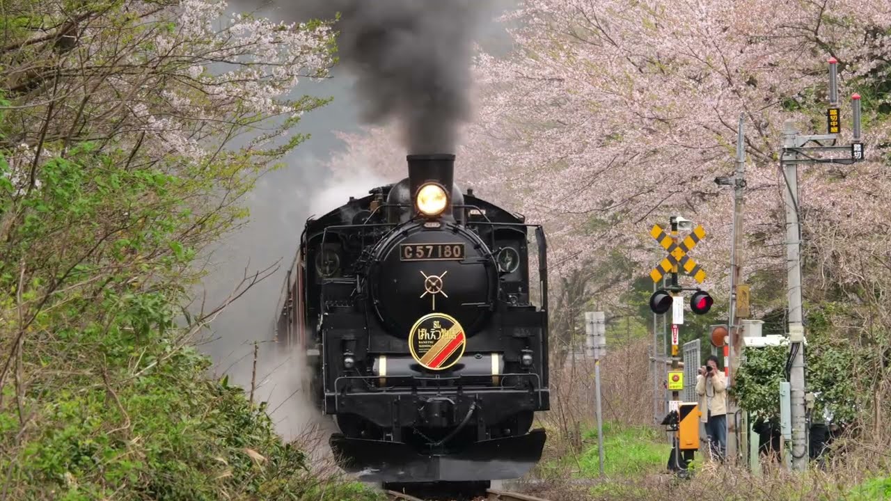 【2025春！総集編】桜・雪山とC57「SLばんえつ物語」JR EAST steam locomotive C57-180 