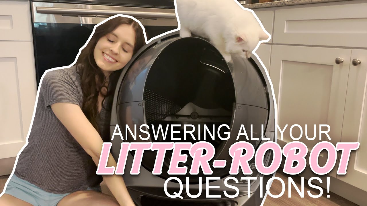 Unboxing the Litter-Robot and Answering all Your Questions!