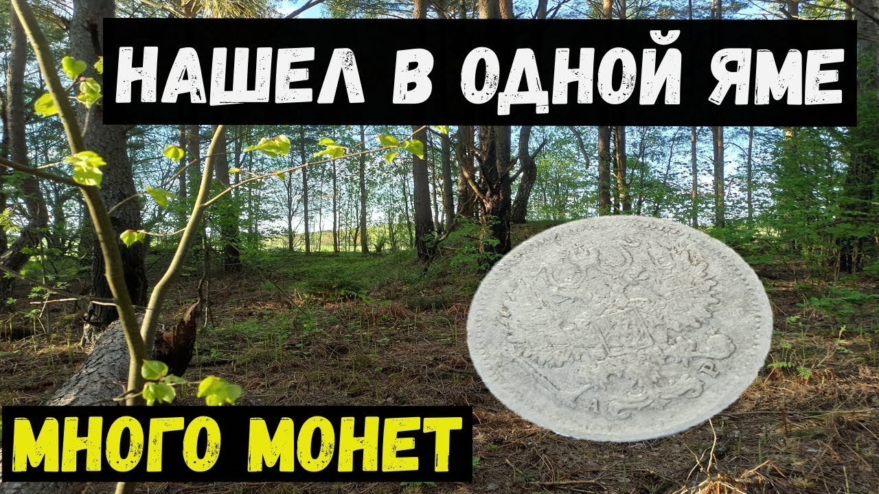 Нашел кошель!!!Коп в лесах Беларуси 2022