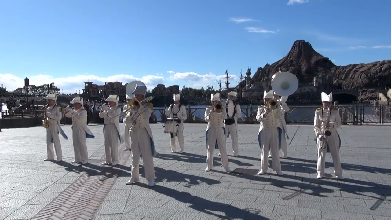 TDS Maritime Band A　ＴＤＳ マリタイム・バンド　Ａ