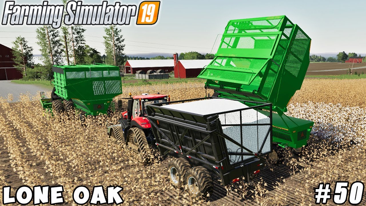 Caring for animals, harvesting cotton | Lone Oak Farm | Farming simulator 19 | Timelapse #50