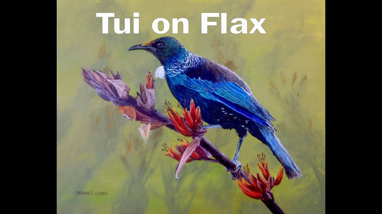 Tui on Flax Flower