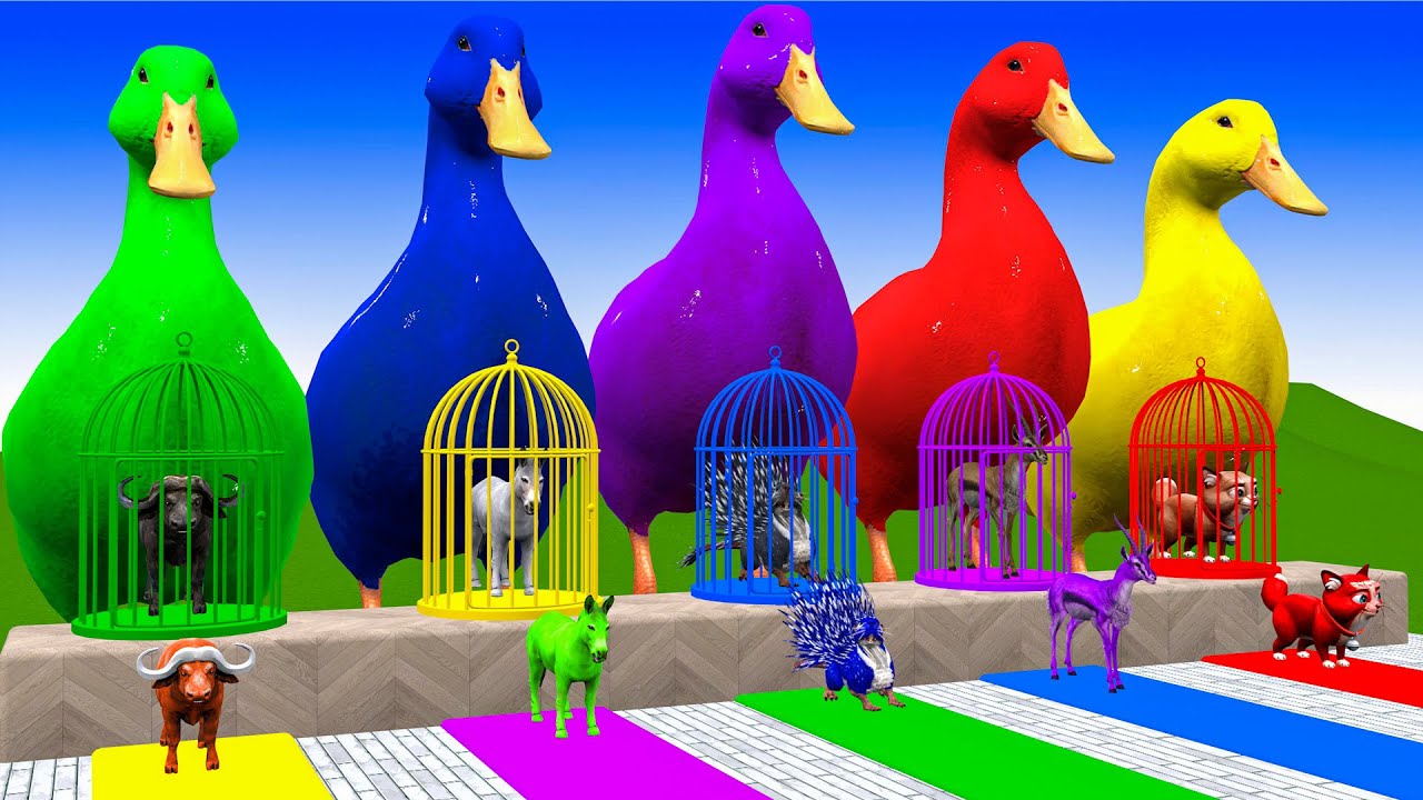 Long Slide Game With Elephant Gorilla Buffalo Hippopotamus Tiger 3d Animal Game Funny 3d Animals
