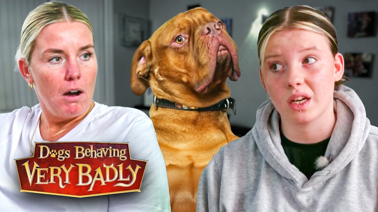 My Dog’s Constant Attention-Seeking Is Tearing Our Family Apart