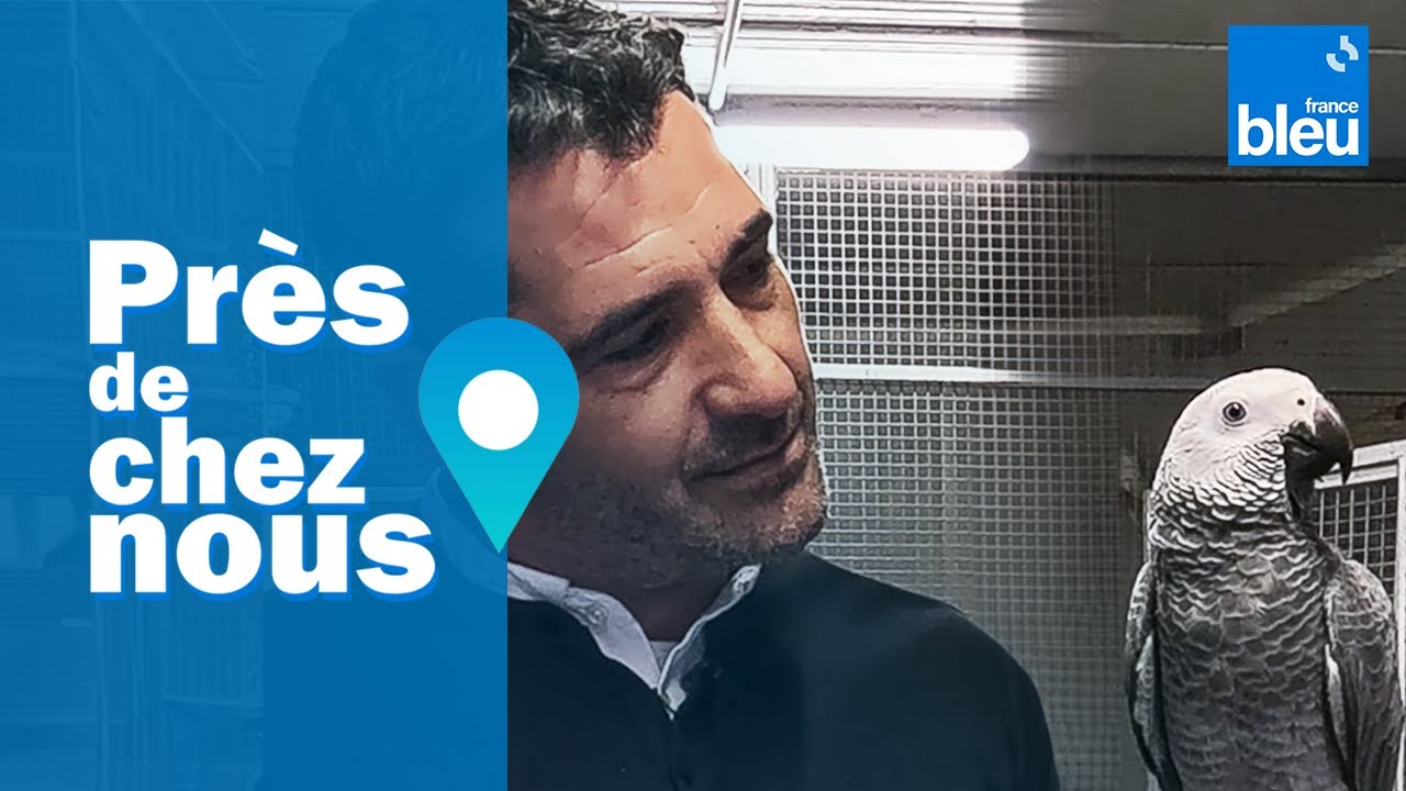 Laurent dédie sa vie à son élevage de perroquets
