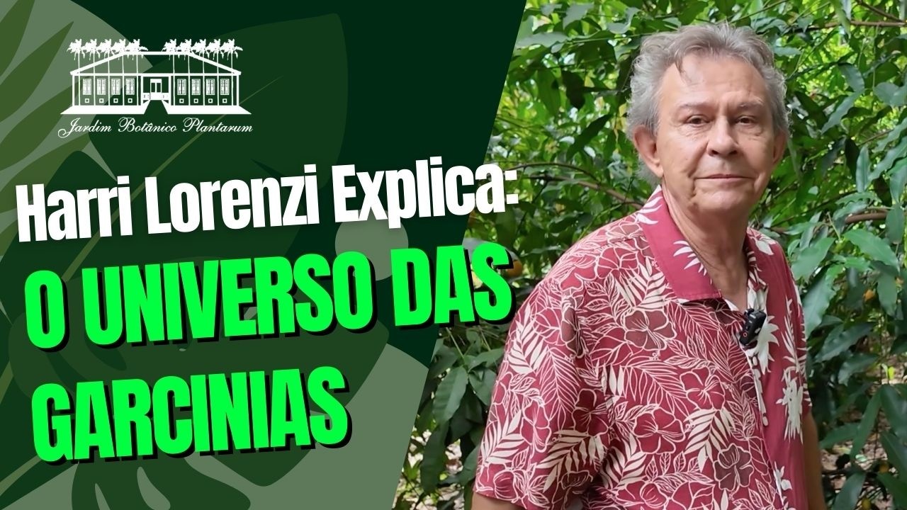 O Fantástico Universo das Garcinias | Por Harri Lorenzi | Jardim Botânico Plantarum