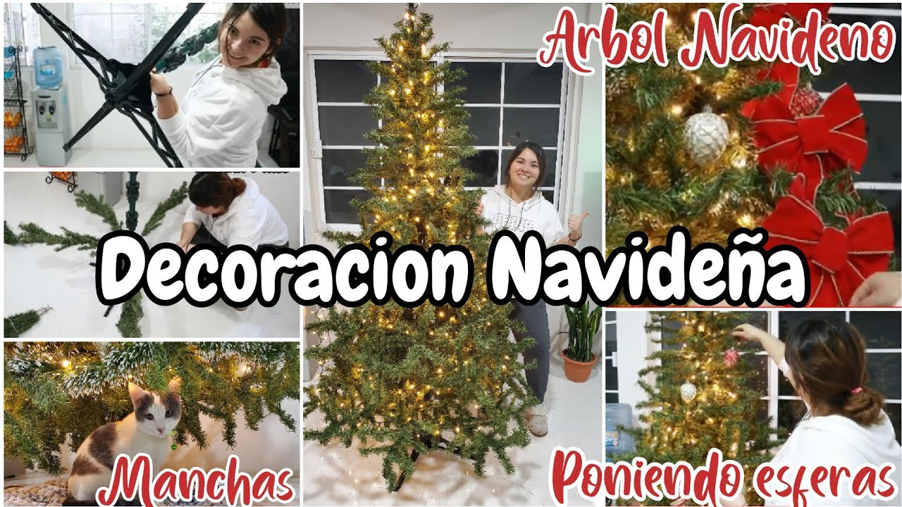 👇DECORANDO mi CASA|| PONIENDO EL ARBOL NAVIDEÑO🎄 con un MICHI🐈😅||DECORACION NAVIDEÑA🎈🎁
