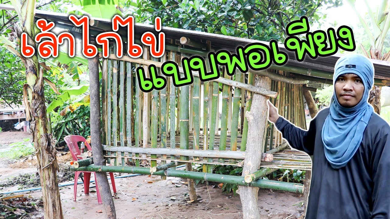 เล้าไก่ไข่แบบประหยัด เน้นพอเพียง ต้นทุนต่ำ | อีสานร่มเย็น