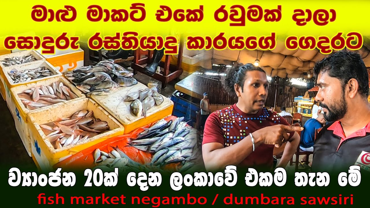මාළු මාකට් එකේ රවුමක් දාලා ළහිරුගේ ගෙදරට| හැමදාම ව්‍යාංජන 20ක් දෙන හෝටලය මෙන්න| fish market lellama