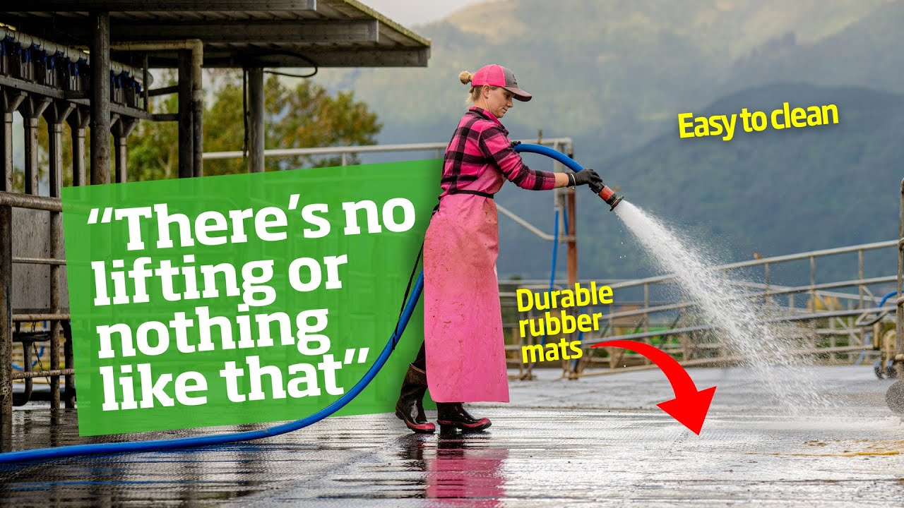 Turning Yards into Winter Stand-Offs - Weirburn Farms - Waikato