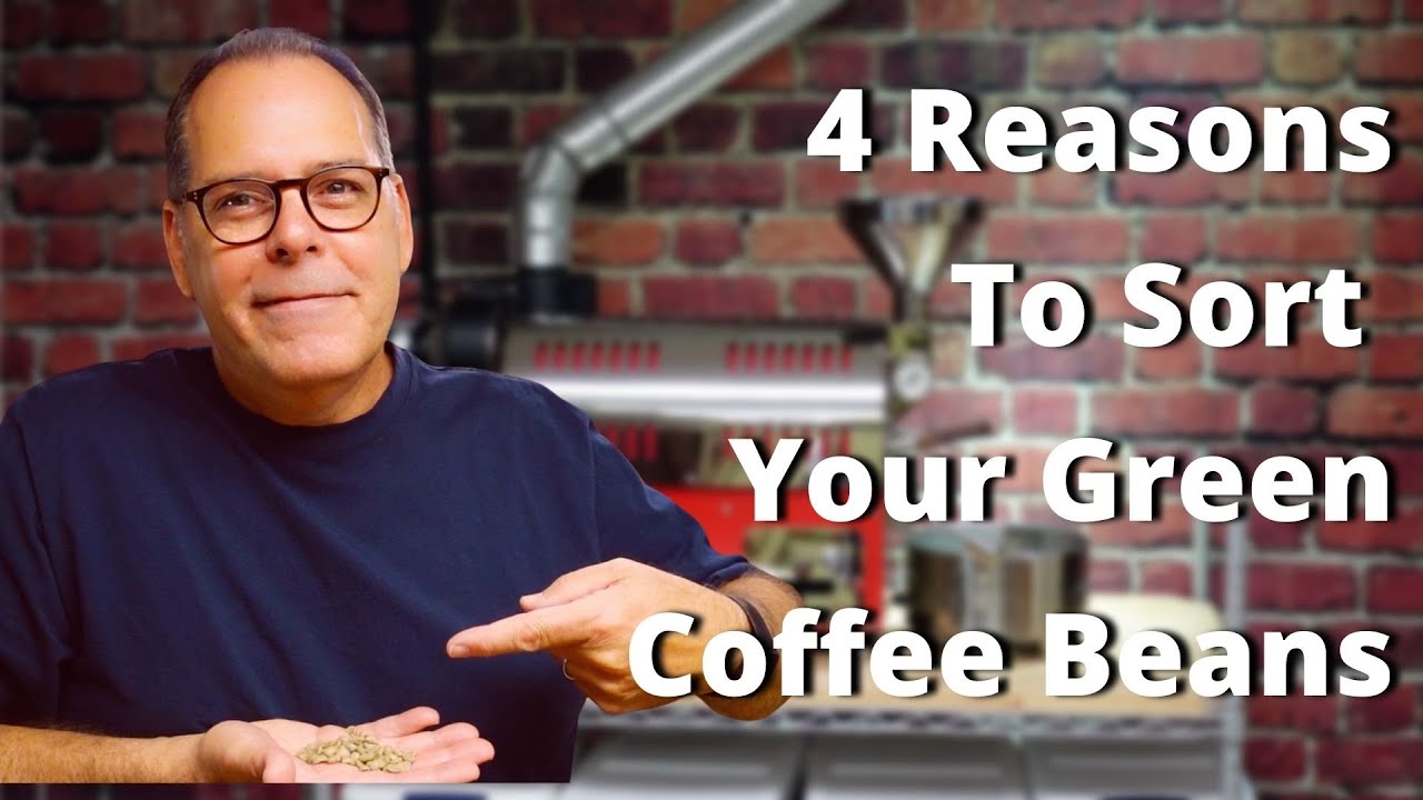 Sorting Green Coffee Beans - Home Coffee Roaster
