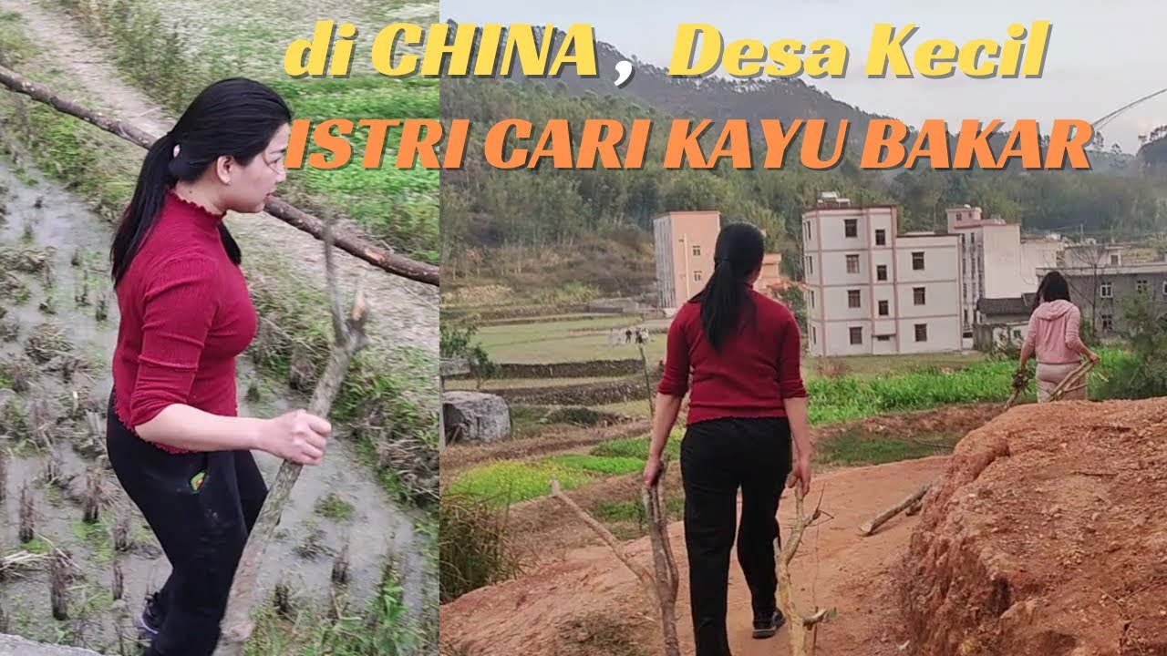 Istri Ngajak Cari Kayu Bakar, Desa Kecil di CHINA
