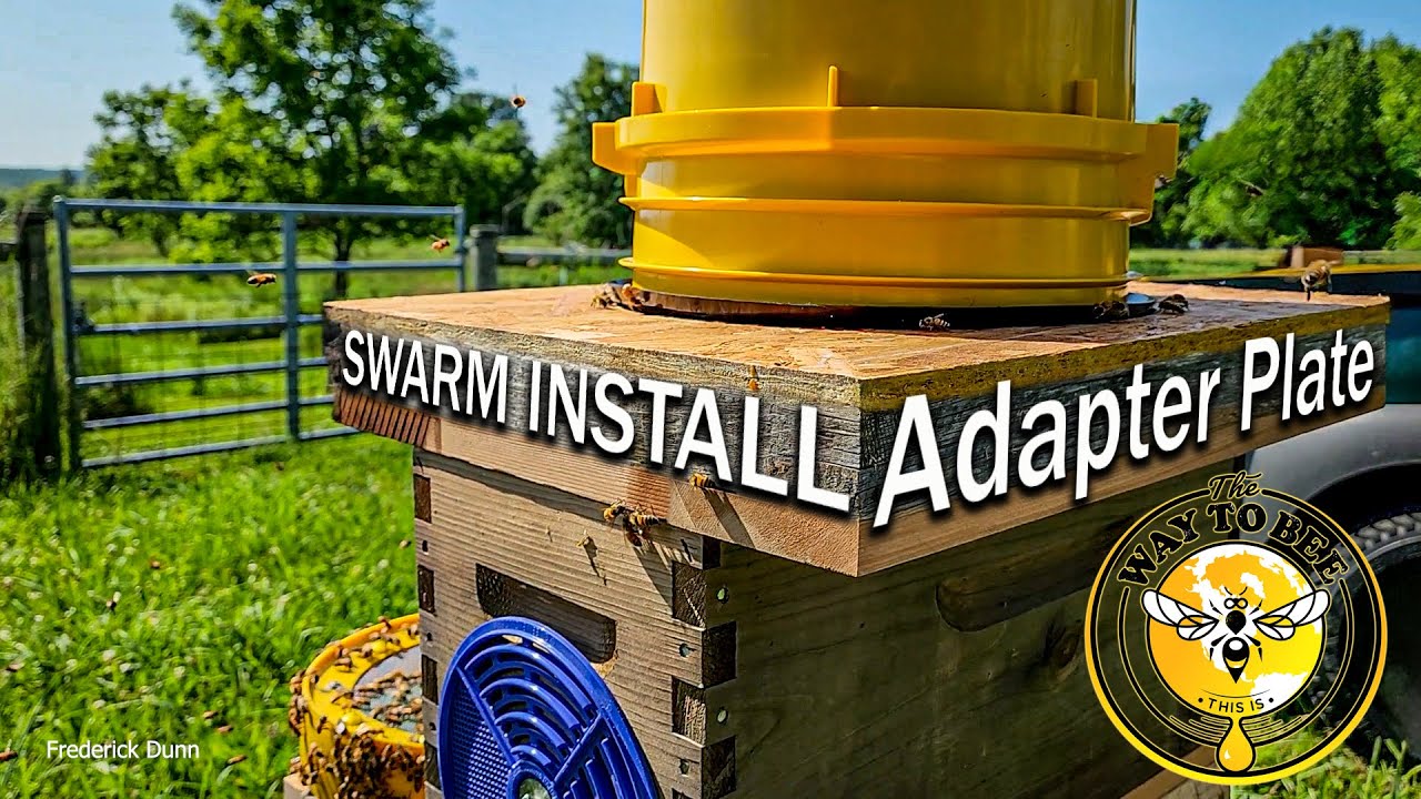 Bee Vacuum Hive Installation Adapter Plate, Install swarms in a nucleus, 8 frame, or 10 frame Lang.