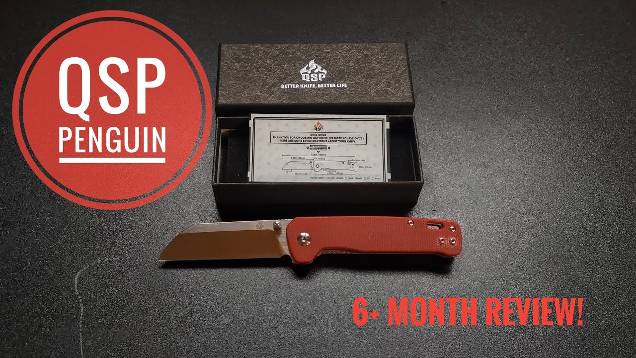 QSP Penguin D2 Red Micarta || 6+ Month Review!