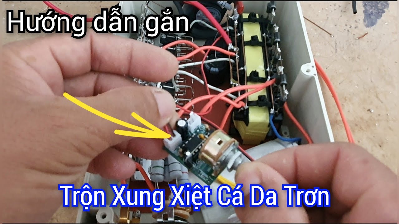 Hướng dẫn gắn thêm mạch trộn xung cho xiệt lạnh cá da trơn lên đẹp