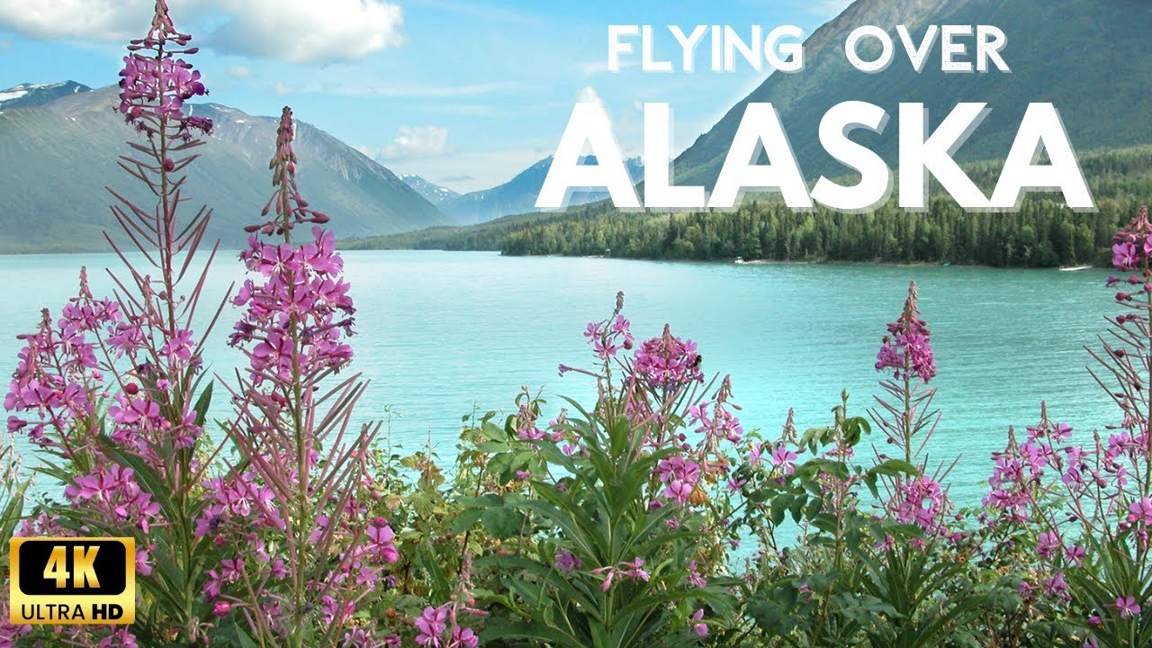 Flying Over Alaska: Stunning Aerial Views with Relaxing Music 🌲🦅