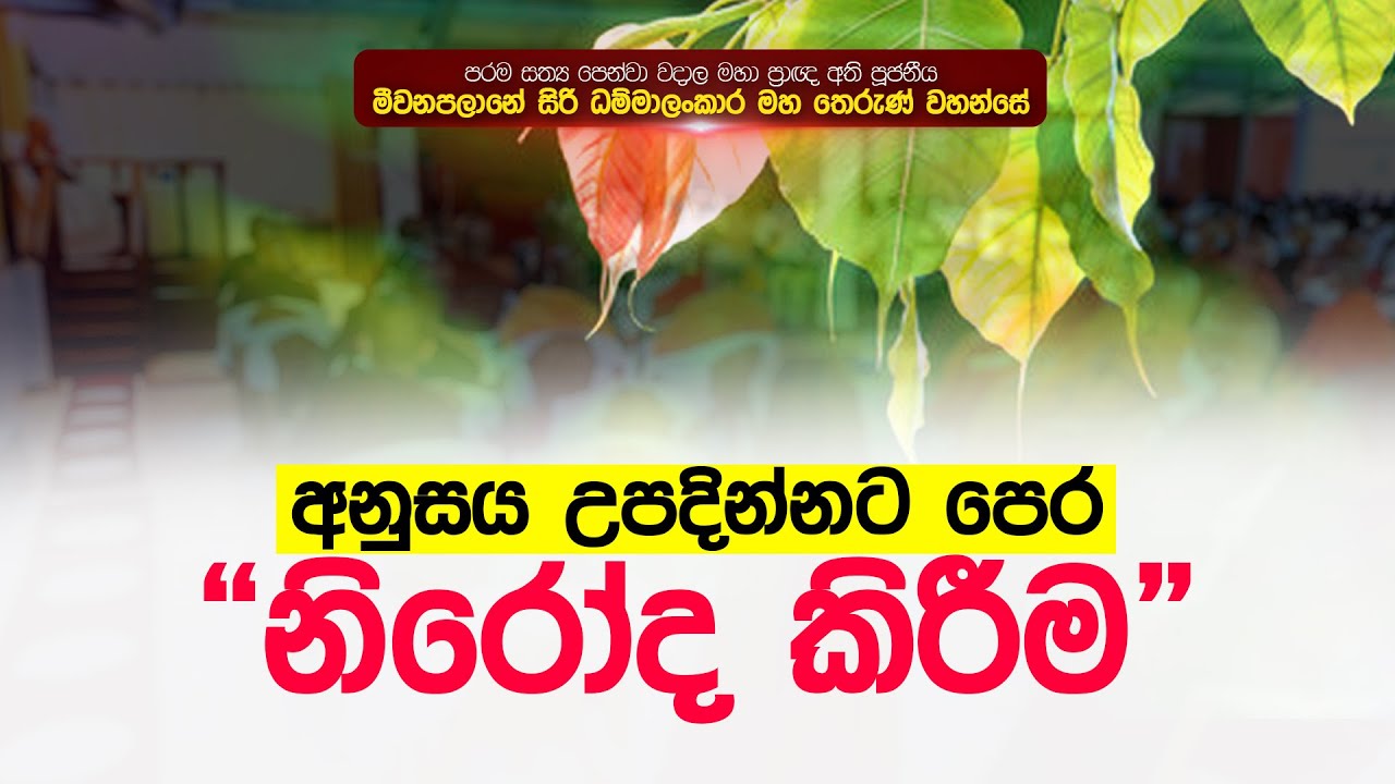 අනුසය උපදින්නට පෙර නිරෝද කිරීම | මහා ප්&zwj;රාඥ මීවනපලානේ සිරි ධම්මාලංකාර මහ තෙරුන් වහන්සේ | Damtharana