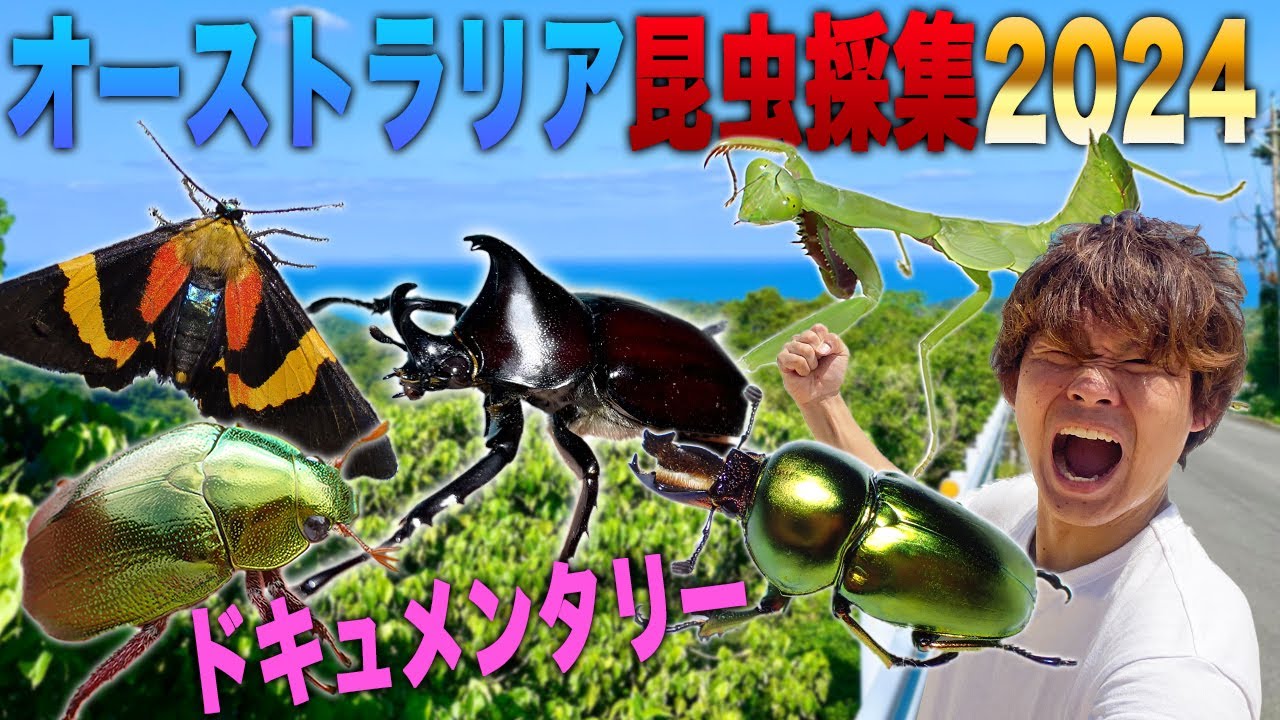 オーストラリアで謎の巨大昆虫を探せ！[オーストラリアドキュメンタリー]