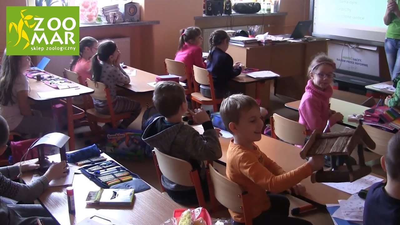 Akademia ZOO-MAR | Szkoła podstawowa nr 4 w Raciborzu