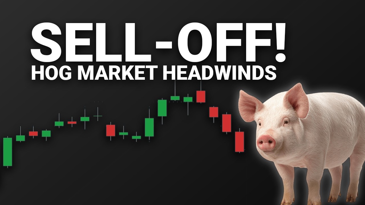 Hog Market Headwinds | Hog Talk February 11th, 2026