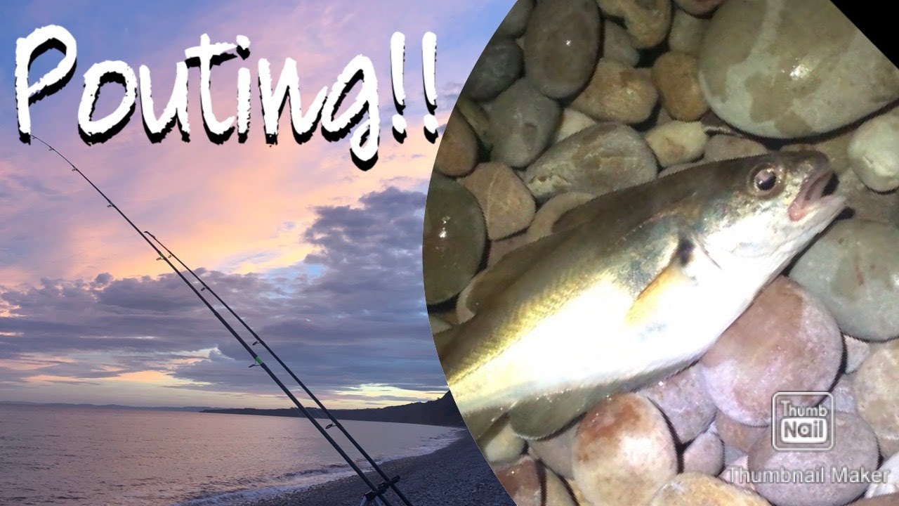 Catch Report.. Budleigh Salterton.. Pouting.. Worst Sea Fishing Video Ever Made.. Devon UK Angling