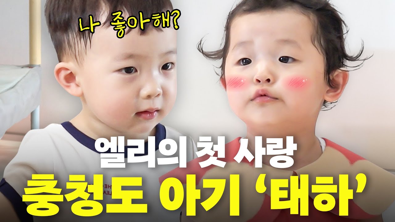 역대급 콜라보! 태하,태리,엘리의 뽀시래기들의 불타는 삼각관계🔥🔥 (태요미네,졸귀)