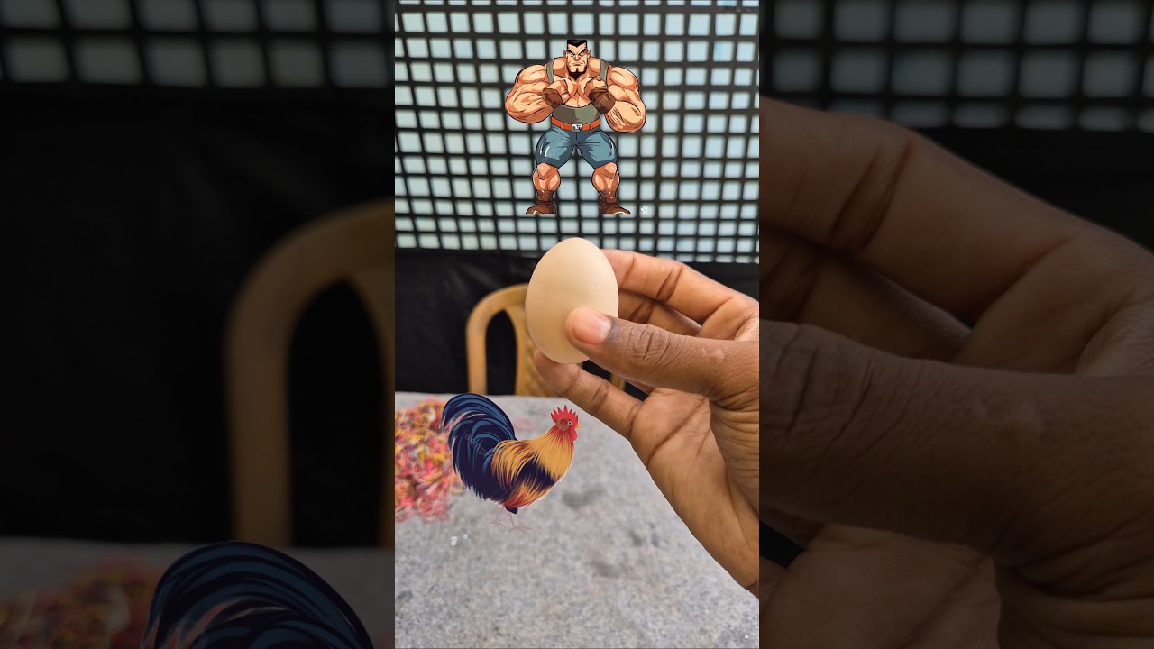 3 type egg power test 