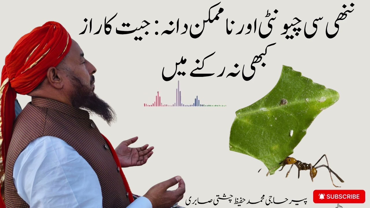 ننھی سی چونٹی اور ناممکن دانہ جیت کا ایسا راز کہ جو کبھی رکنے نہ دے |پیر حاجی محمد حفیظ چشتی صابری 
