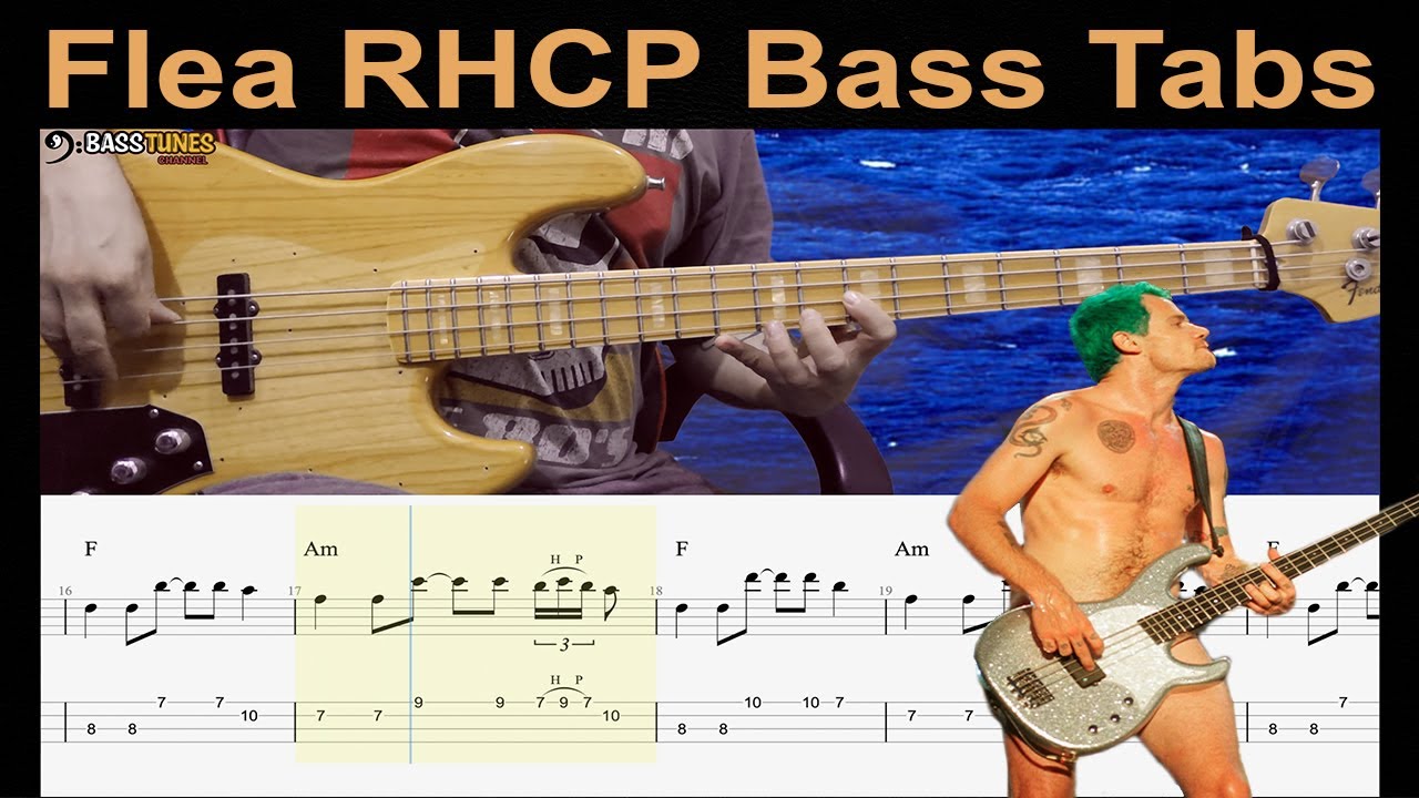 Red Hot Chili Peppers - Californication бас-кавер (с табулатурами и нотами)