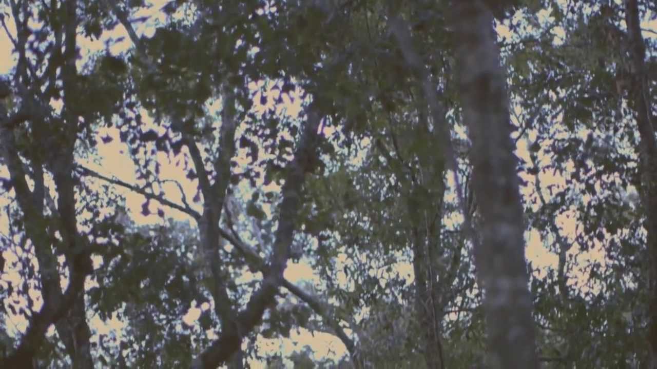 Makari - 
