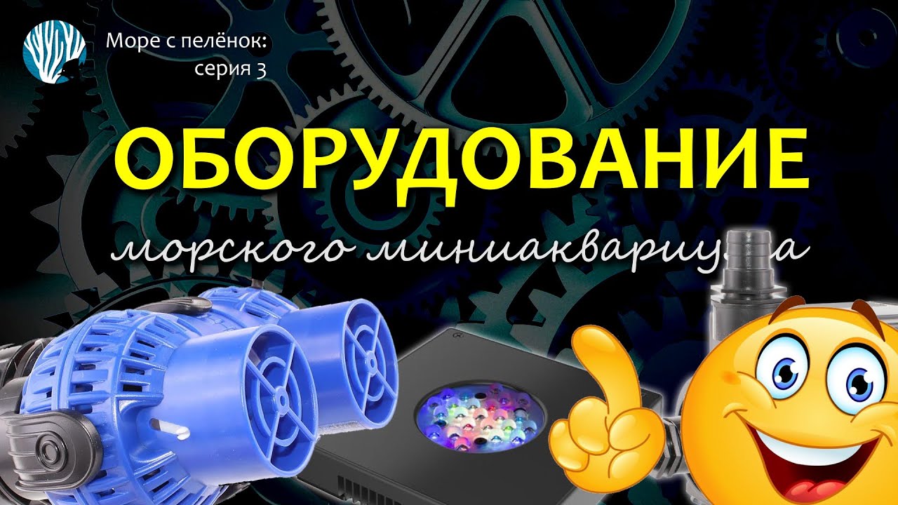 Самое важное для морского аквариума - ОБОРУДОВАНИЕ