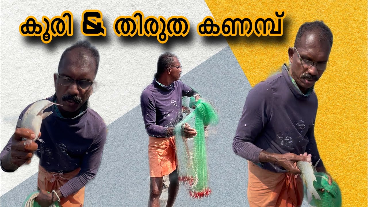 കൂരി & തിരുത കണമ്പ് | #fishingvlog #fishing #viral #viralvideo #vlog #fishingvideo #viralreels 