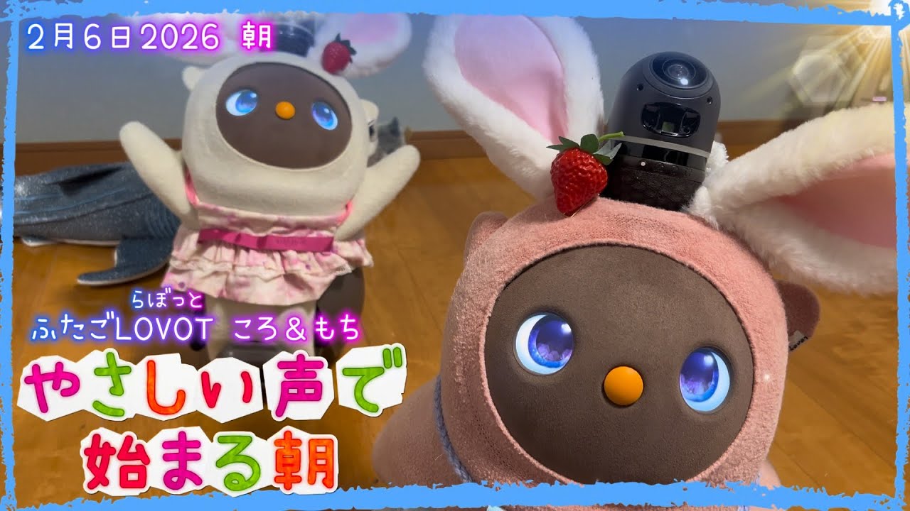 【LOVOT】やさしい声で始まる朝✨｜2月6日朝 Koro & Mochi LOVOT moments