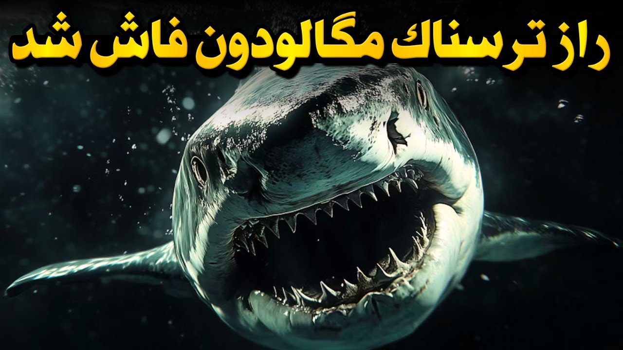 رازهایی از مگالودون که علم تازه فهمیده