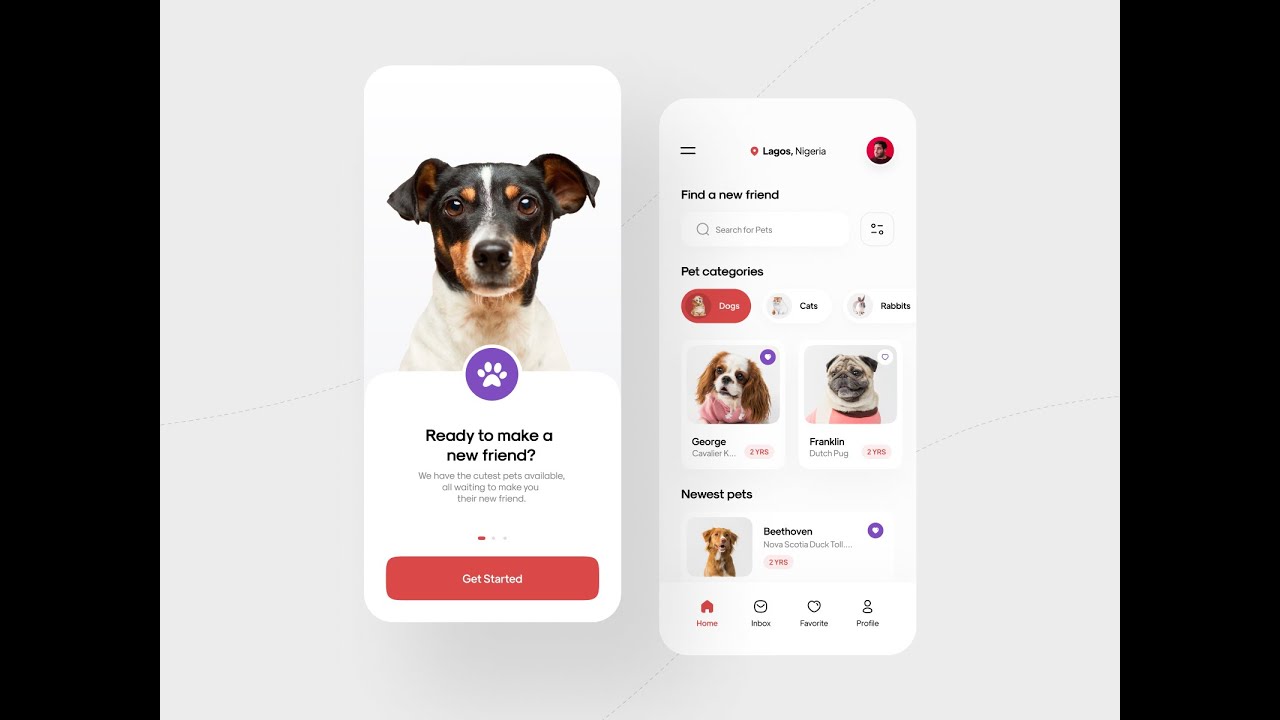 Flutter Pet Adoption App UI Tutorial