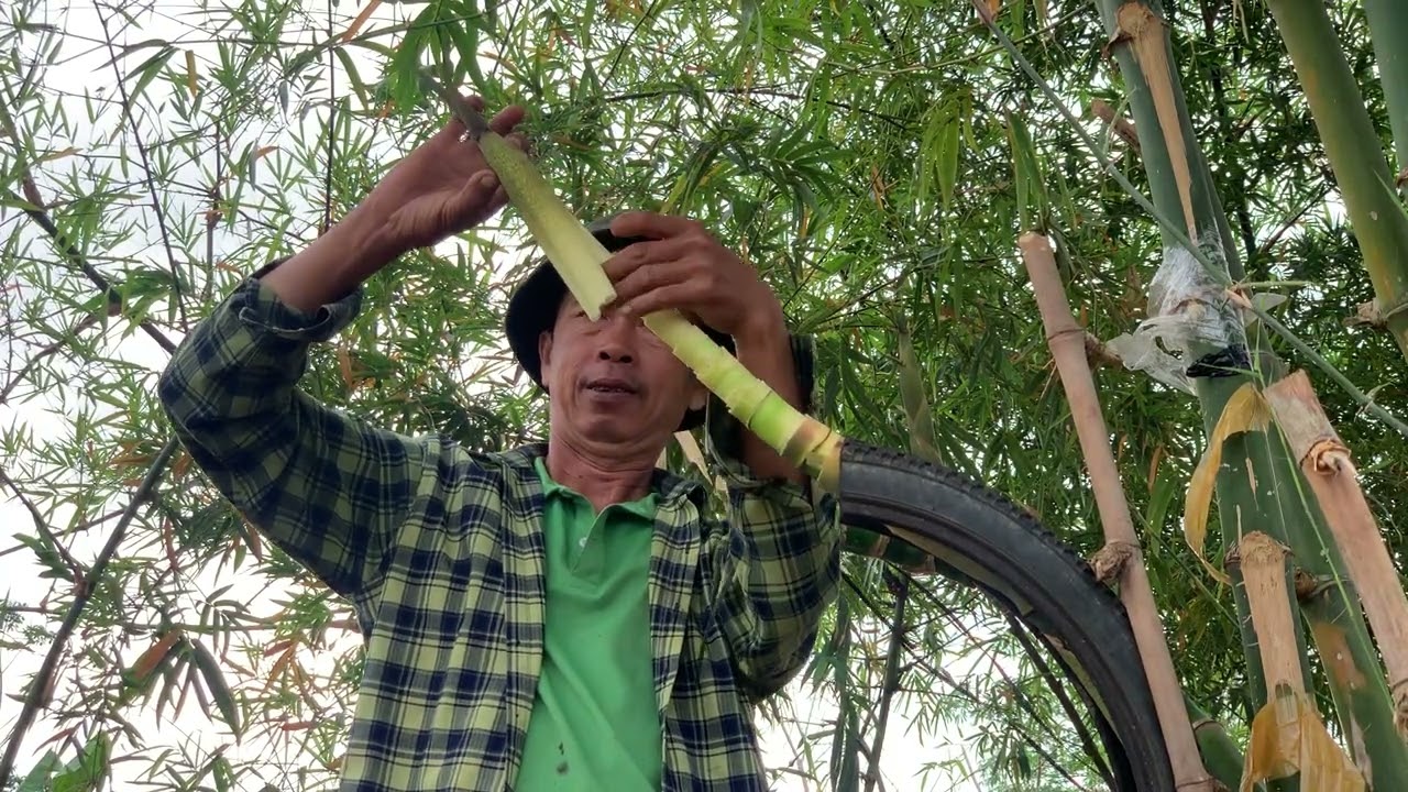 Dang long da thanh cong 