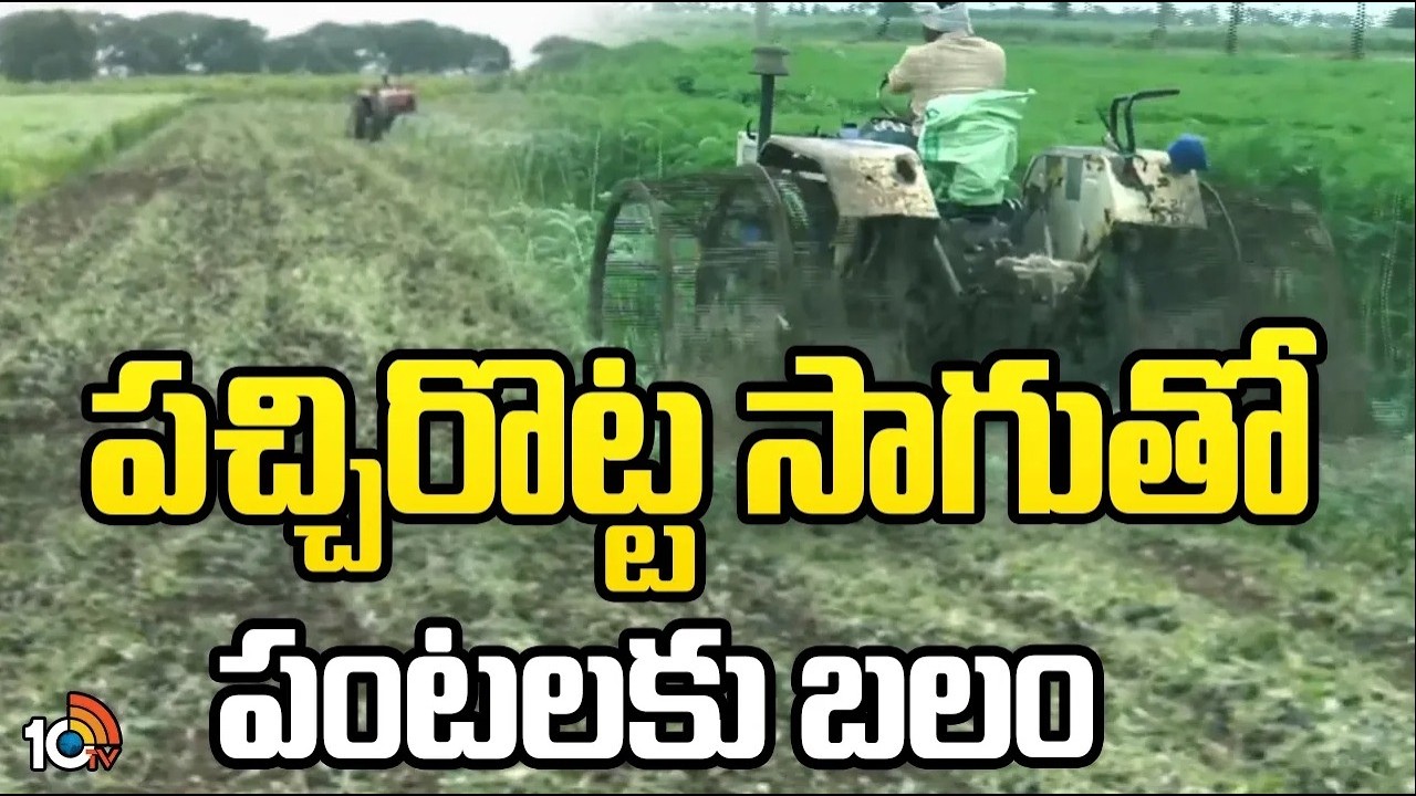 Green Manure Boosts Crop Yield and Soil Health | పచ్చిరొట్ట సాగుతో పంటలకు బలం | Matti Manishi | 10TV